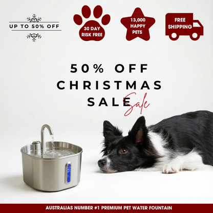 Hydrie 2.2L Premium Stainless Steel Pet Water Fountain