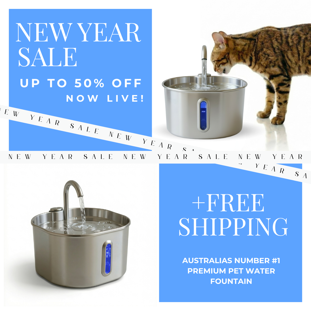 Hydrie 2.2L Premium Stainless Steel Pet Water Fountain
