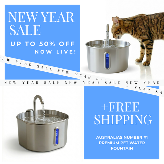 Hydrie 2.2L Premium Stainless Steel Pet Water Fountain